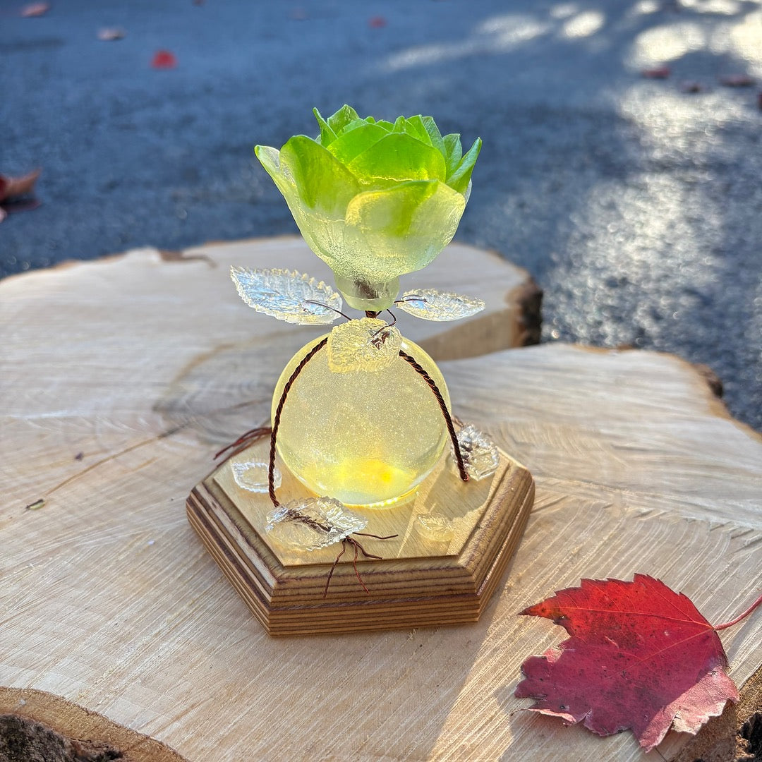 Fleur d’espoir